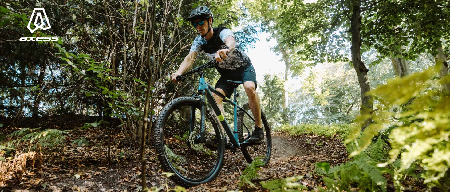 Гірський велосипед Axess Brash чоловіки 16-швидкісний дисковий гальмо MTB Shimano сірий 23 дюйми