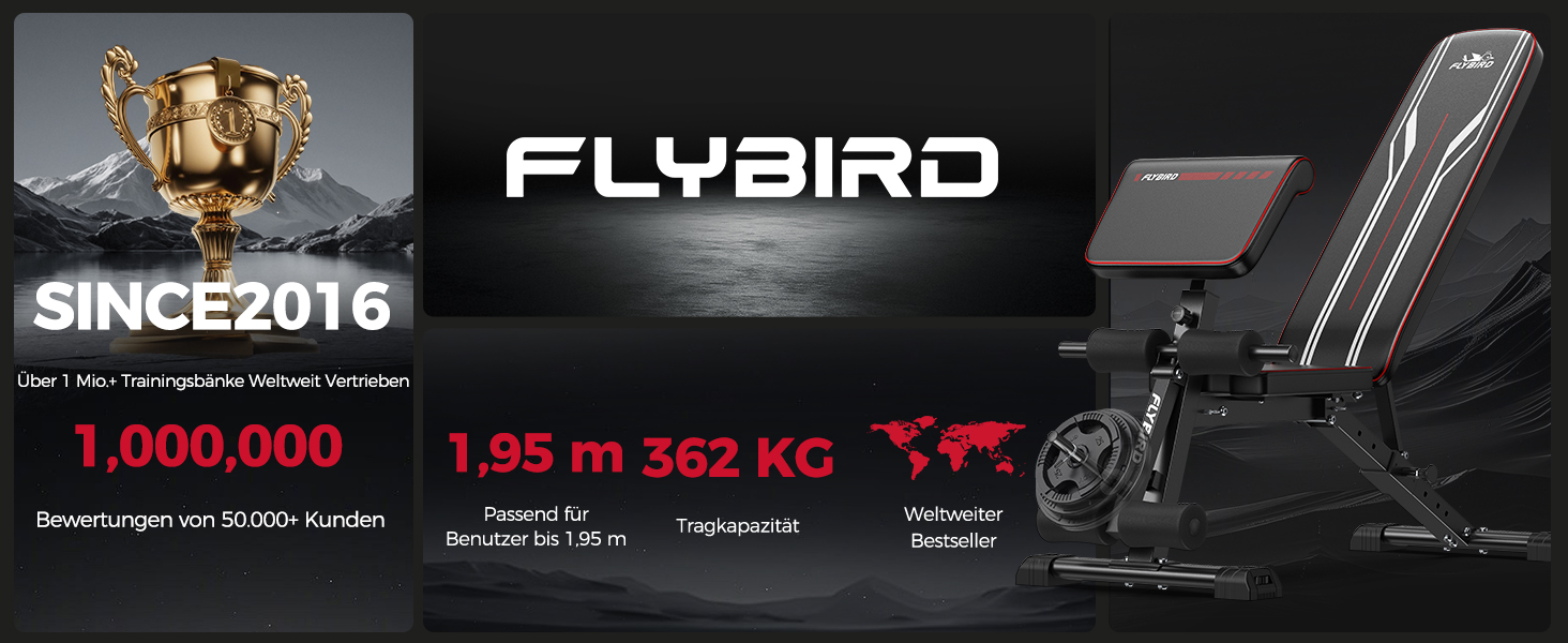 Відкидна лава для тренувань FLYBIRD M-360KG: регульована, до 544 кг, для дому