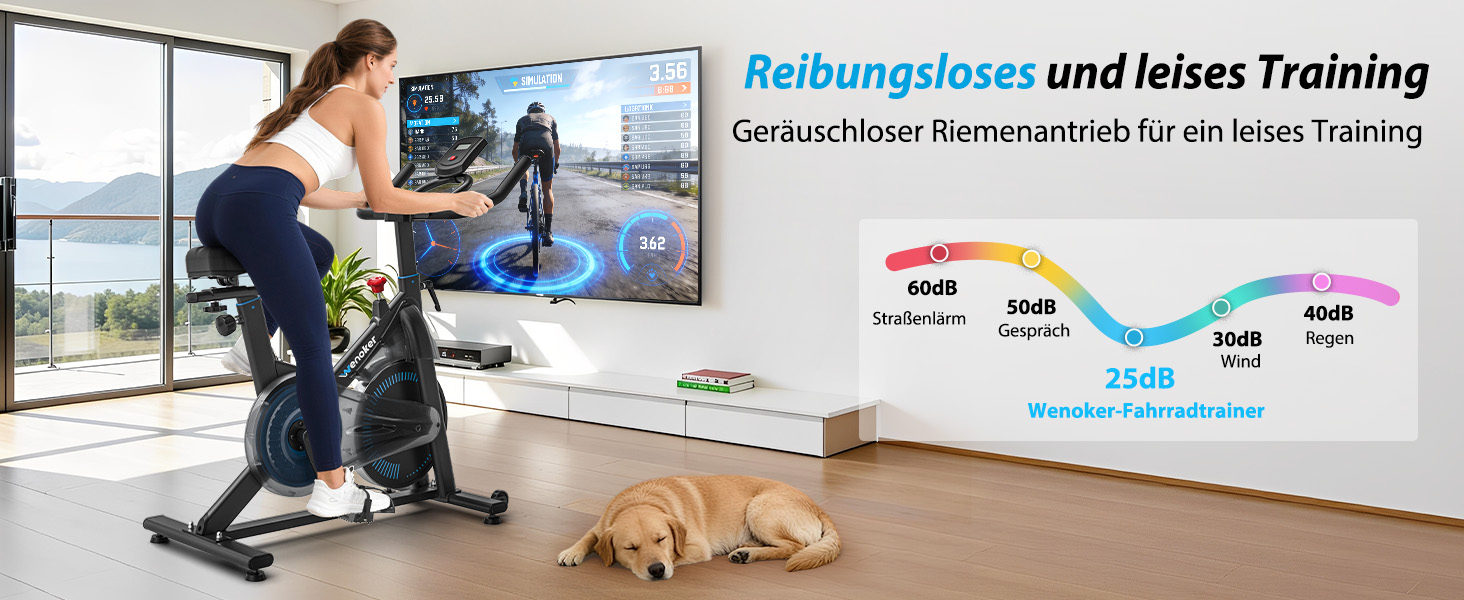 Велотренажер Wenoker з регульованим магнітним опором, ергометр, фітнес-велосипед з LCD-монітором, тримачем для планшета, Bluetooth, для дому, до 160 кг, блакитний