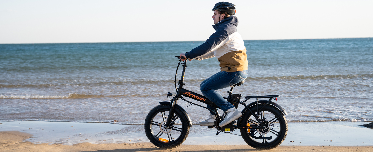 Велосипед складаний ECORUSH E-Bike 20 товста шина 250Вт/48В/15Ач, синій