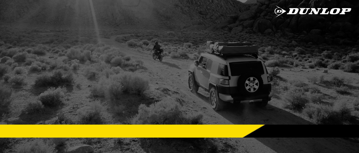 Ворота футбольні Dunlop 300x200x90 см - металеві, для гри вдома, на вулиці, для дітей та дорослих