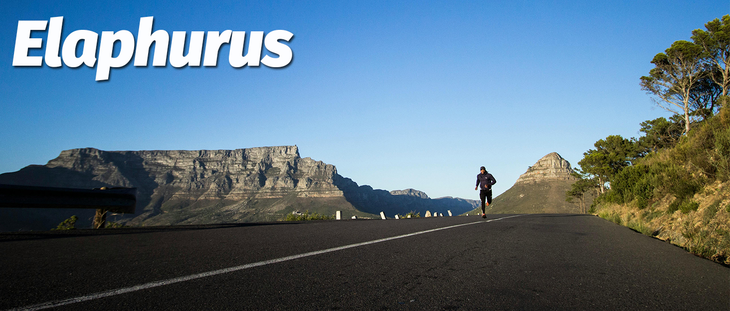 ELAPHURUS Легкі дихаючі кросівки для чоловіків та жінок, повсякденні, для ходьби, без шнурів, зелені (37 EU)