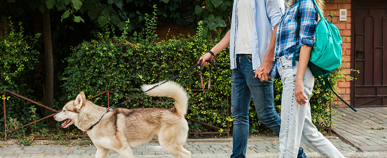Чоловічі бігові кросівки: спортивне взуття, повсякденне взуття на плоскій підошві, чорного кольору, розмір 45 EU