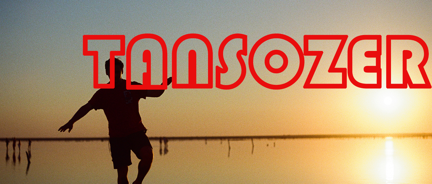 Чоловічі літні шорти Tansozer з кишенями, темно-сірі, розмір XL
