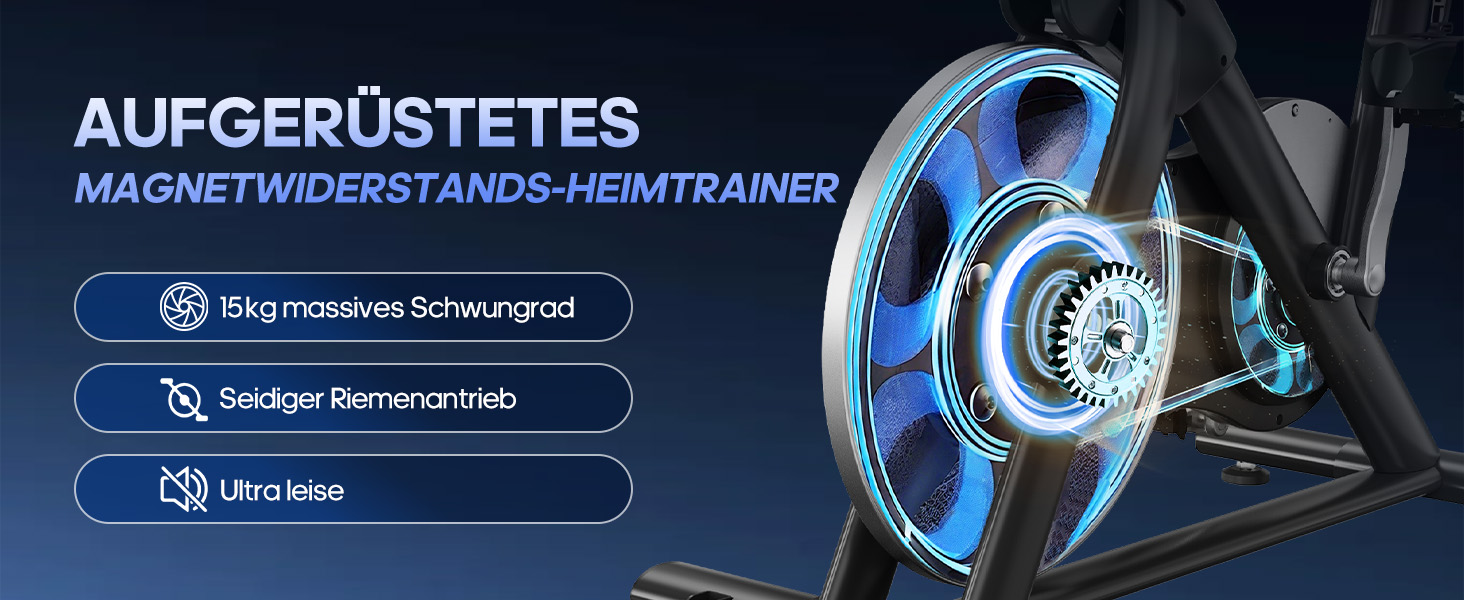 Ергометр DMASUN для дому з регульованим магнітним опором, стійкою для гантелей, важким маховиком, LCD-монітором, регульованою висотою, фітнес-велосипед до 180 кг, зелений [2026 модель]