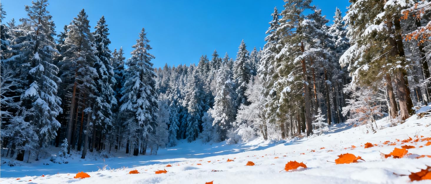 Чоловічі зимові черевики Wondamo: теплі, водонепроникні, з антиковзким покриттям, для активного відпочинку на природі, розмір 41 EU, зелені