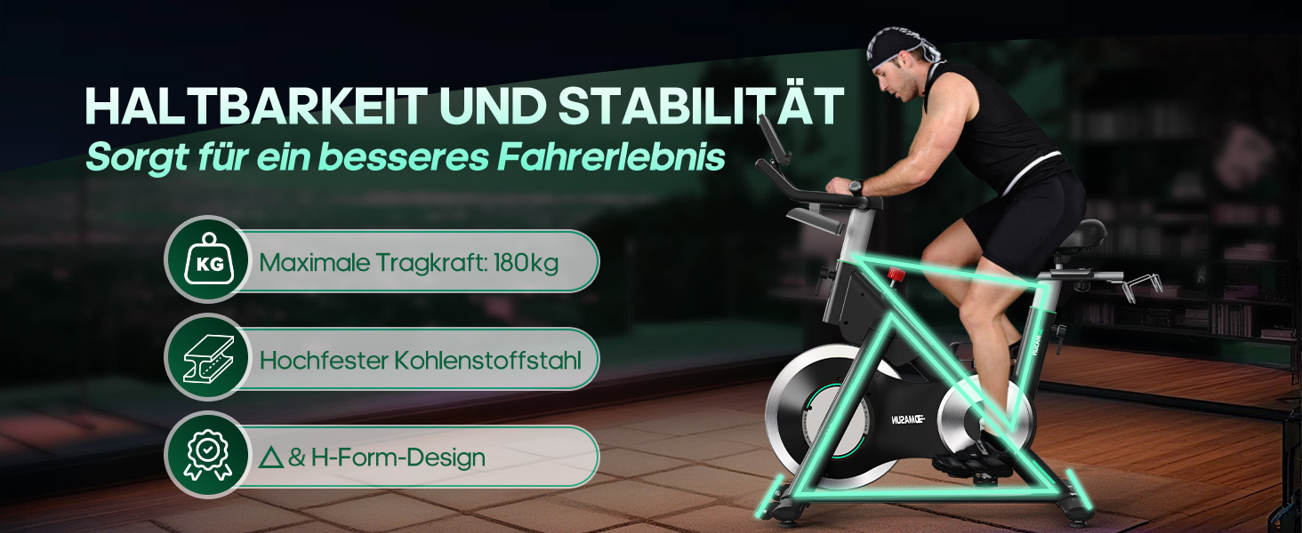 Ергометр DMASUN для дому з регульованим магнітним опором, стійкою для гантелей, важким маховиком, LCD-монітором, регульованою висотою, фітнес-велосипед до 180 кг, зелений [2026 Модель]