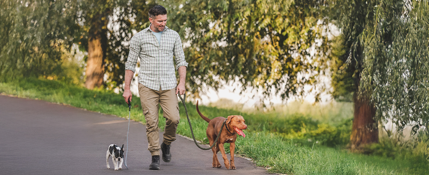 Чоловічі трекінгові черевики NORTIV 8, водонепроникні, чорні (41.5 EU)