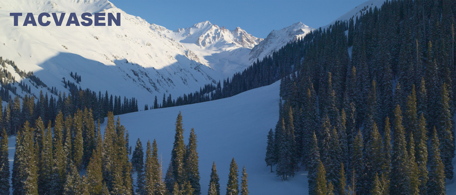 TACVASEN Жіноча куртка-перехідник, тепла зимова куртка, флісова підкладка, куртка для хайкінгу та катання на лижах, водонепроникний блискавчик, помаранчевий
