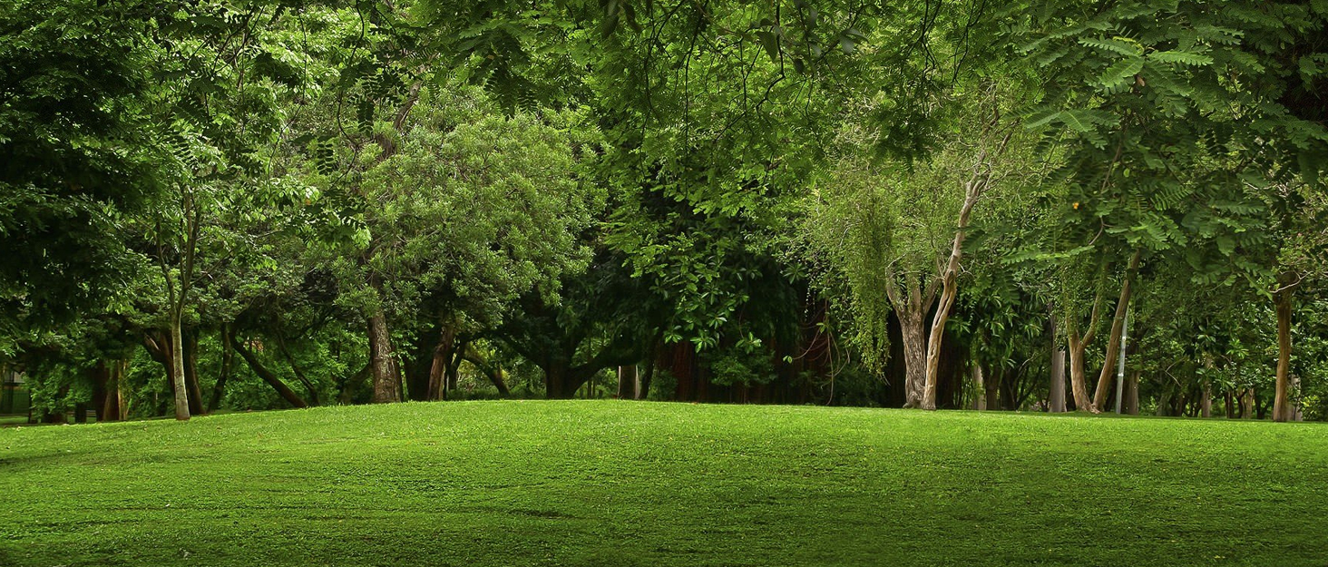 Набір для бадмінтона QKTYB для дітей від 4 до 8 років, легкий алюмінієвий, для початківців, з сумкою, зелений (кольоровий)