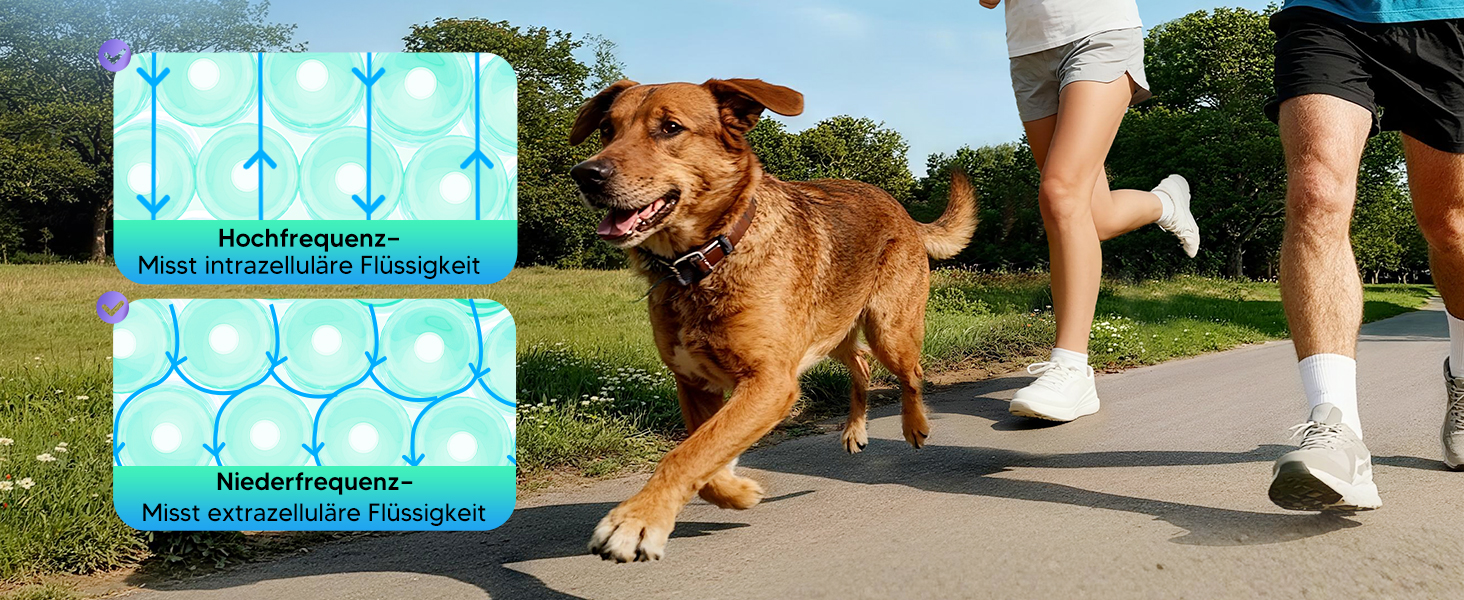 Вага для вимірювання жиру в тілі Arboleaf з датчиками рук, аналіз складу тіла, 50 показників, вага з додатком та великим дисплеєм до 180 кг (Чорний) CS10K