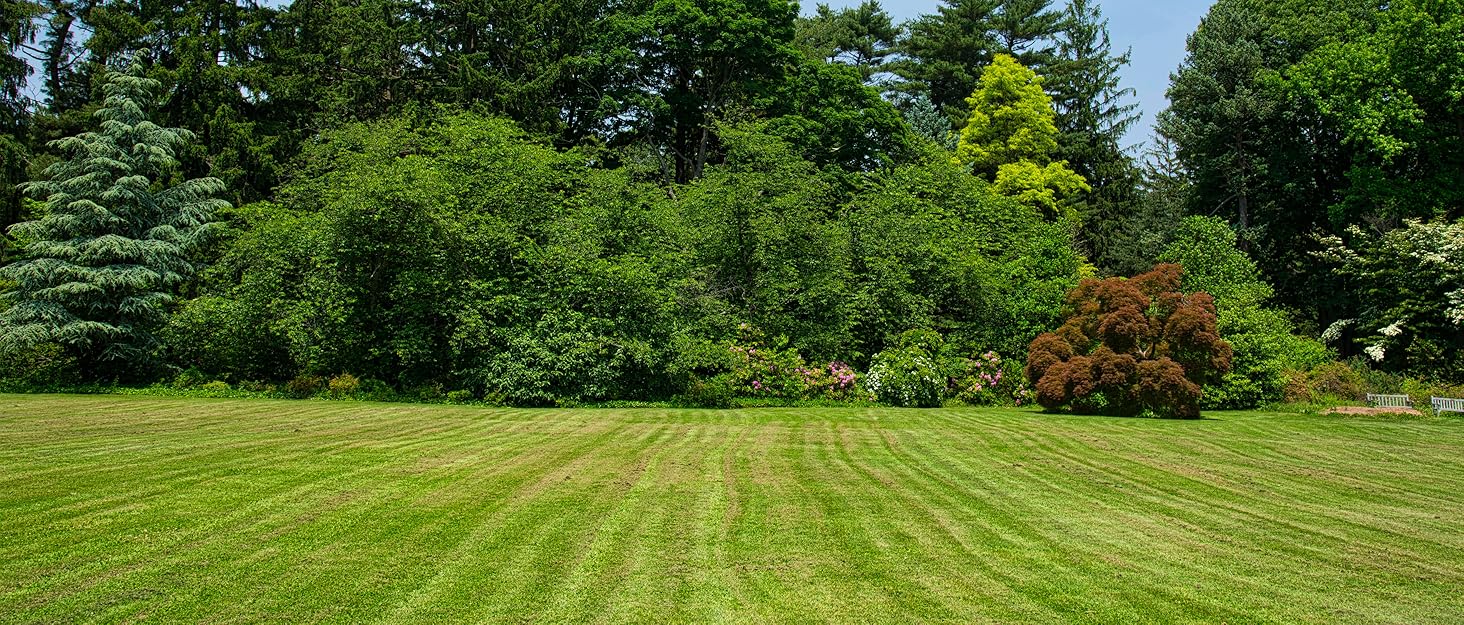 Батут PILIN для дітей з сіткою та баскетбольним кільцем, до 50 кг, для дому та саду. Ідеальний подарунок на день народження