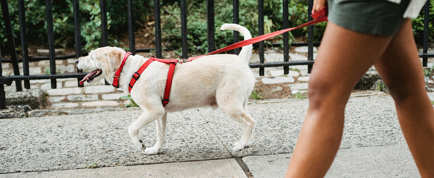 Взуття для фітнесу HOBIBEAR для жінок та чоловіків | Кросівки для трейлраннінгу з широкою передньою частиною | Синій, 39 EU