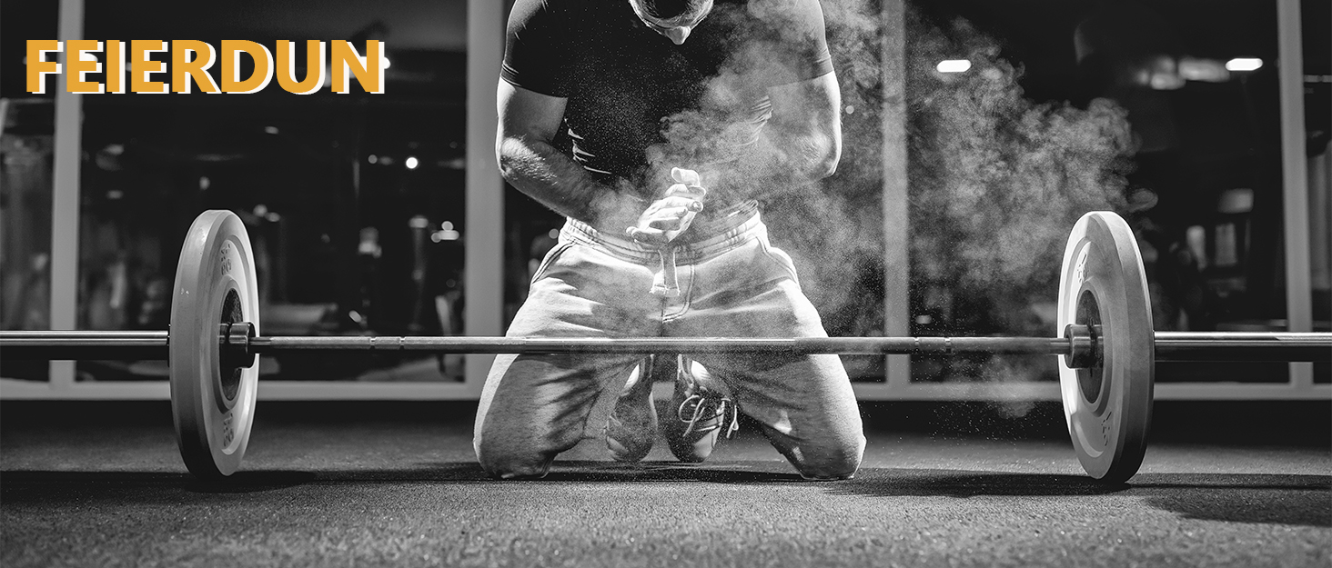 Набір гантелей Feierdun 2 шт. регульовані, 2/4/6/8/4.5 кг, для жінок, швидка зміна ваги, подвійний захист, для домашнього фітнесу, сірий A-Strength