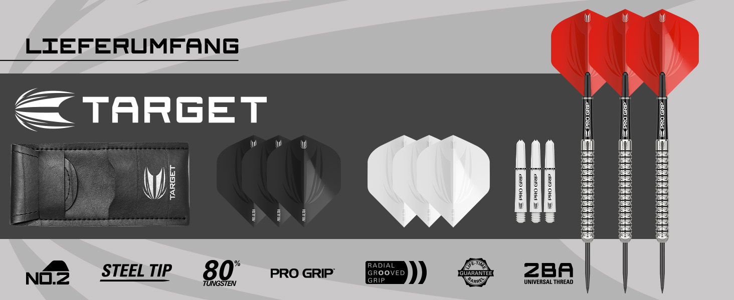 Дарти Target Artemis 25g (Вольфрам, сталеві наконечники) - комплект для професіоналів з кейсом та додатками