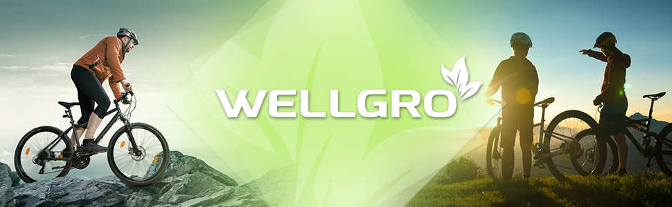 Велосипедна підставка WELLGRO, сталева, чорна, 2 шт., надійна
