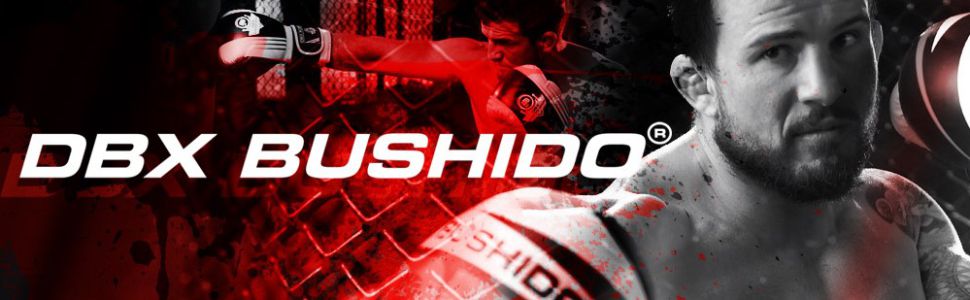 Рукавички DBX Bushido MMA 'E1V3 - для грепплінгу та кікбоксингу