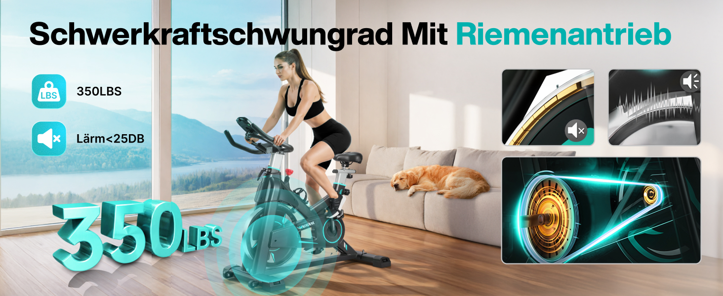 WENOKER Велотренажер для дому з магнітним опором, Indoor Bike з LCD-монітором, тиха робота, важке махове колесо, турецький колір