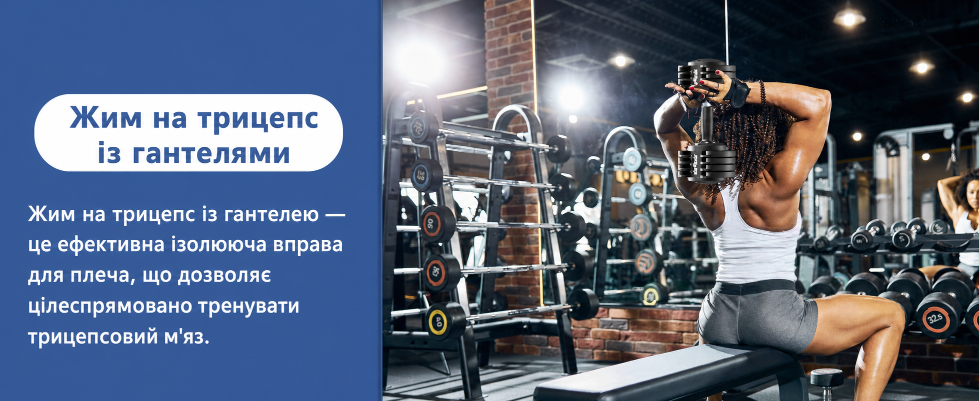 DH FitLife Регульовані гантелі 2 x 12 кг, 5 рівнів ваги, компактний набір для фітнесу