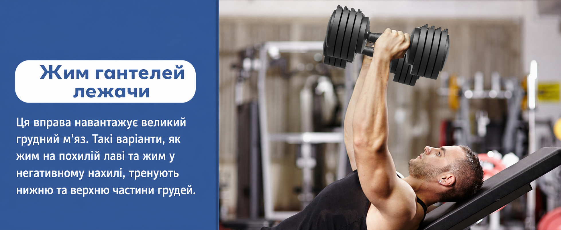 DH FitLife Регульовані гантелі 2 x 12 кг, 5 рівнів ваги, компактний набір для фітнесу