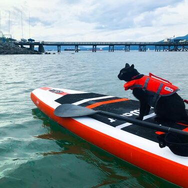 Надувна SUP-дошка FunWater з регульованим веслом, насосом, антиковзким EVA-покриттям і страховочним шнуром для дорослих