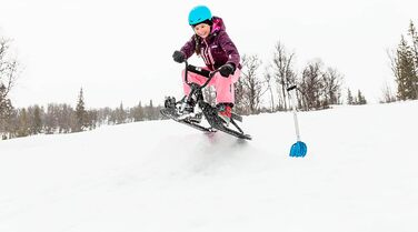 Санки BMX, сталева рама, з кермом і гальмом