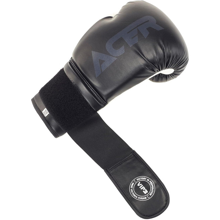 Боксерські рукавички MMA Fitness Black 10oz, 2 PU