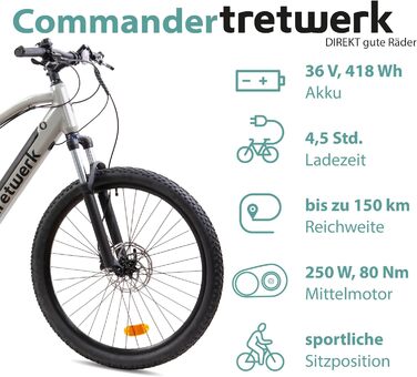 E-MTB Commander 9, задній двигун 250 Вт, ступінчастий Shimano (сірий), 27.5