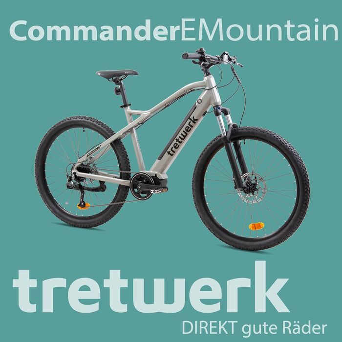 E-MTB Commander 9, задній двигун 250 Вт, ступінчастий Shimano (сірий), 27.5