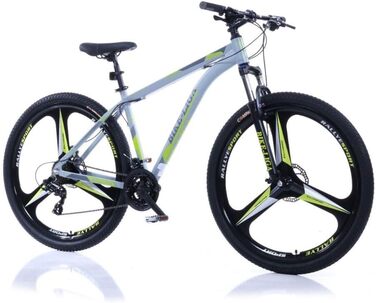 Гірський велосипед Corelli 29 MTB Hardtail ALU Terra-X.TR модель, 21 швидкість, гальмо ДИСК, NECO NEW (mystic-сірий, 22)