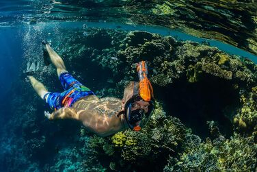 Маска для підводного плавання OCEAN REEF ARIA, повнолицева маска для підводного плавання, поле зору 180, дихання без зусиль, система захисту від протікання/запотівання та сухий верх великий / дуже великий чорний