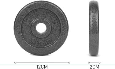 Вагові пластини Manuel 27 мм, набір обважнювачів для штанги з 2 шт. , гирі для гантелей 1 дюйм, вагова пластина з покриттям із сірого чавуну - фітнес-обладнання для дому ((g) 4 x 1.25 кг)