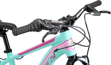 Shimano Ступінчастий, дискові гальма, 20 MTB 7+, від 6 років (Mint)