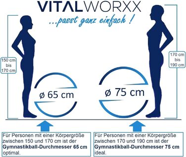 Пакет VITALWORXX Advantage обкладинка для паспорта, м'яч 65 см, срібло