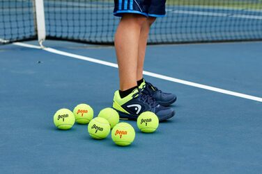 Тенісні м’ячі Penn Championship для регулярної гри, фетр, 16 банок (36 м’ячів)