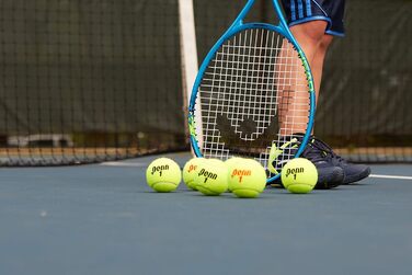 Тенісні м’ячі Penn Championship для регулярної гри, фетр, 16 банок (36 м’ячів)