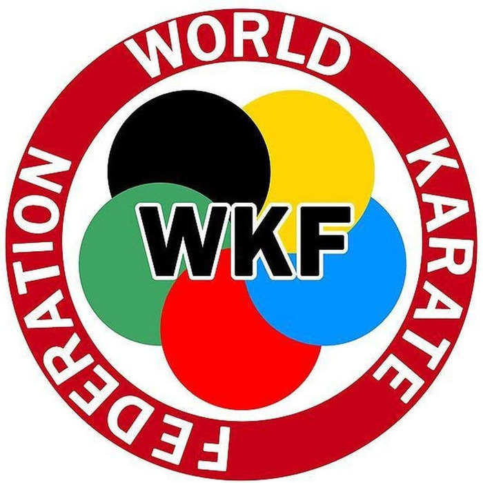 Захист гомілки і стопи Wacoku Karate WKF для жінок і чоловіків