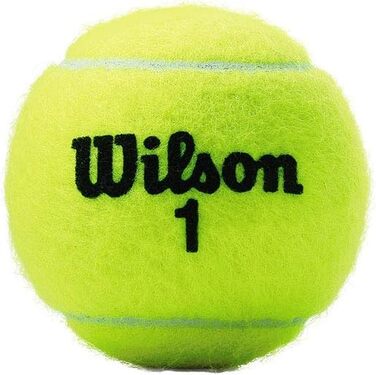 Тенісний м'яч Wilson WRT1000J US Open Extra Duty, підвищений тиск, 2 шт., для змагань