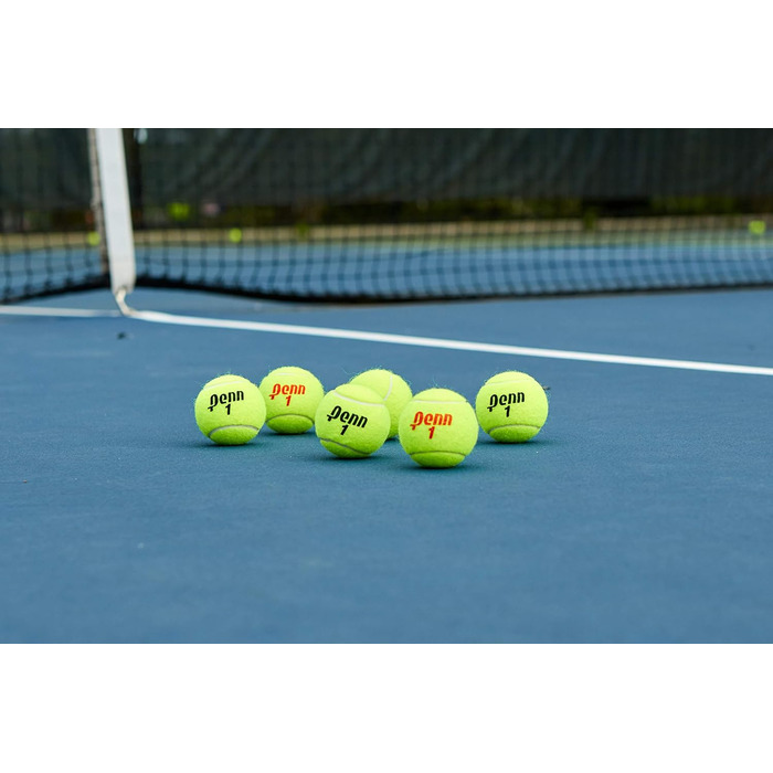 Тенісні м’ячі Penn Championship для регулярної гри, фетр, 16 банок (36 м’ячів)