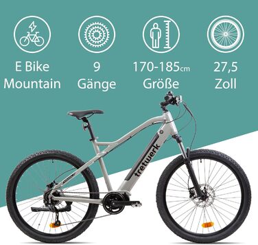 E-MTB Commander 9, задній двигун 250 Вт, ступінчастий Shimano (сірий), 27.5