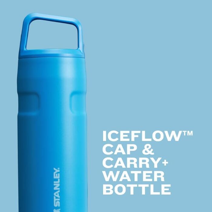 Термобутилка Stanley IceFlow 680 мл з кришкою та ручкою, ізольована, нержавіюча сталь, BPA-free, для спорту і подорожей, Tigerlily