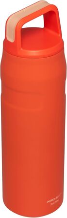 Термобутилка Stanley IceFlow 680 мл з кришкою та ручкою, ізольована, нержавіюча сталь, BPA-free, для спорту і подорожей, Tigerlily