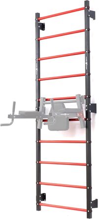 Шведська стінка Marbo Sport для монтажу на стіну, 230x81 см, MH-U204, вироблено в ЄС
