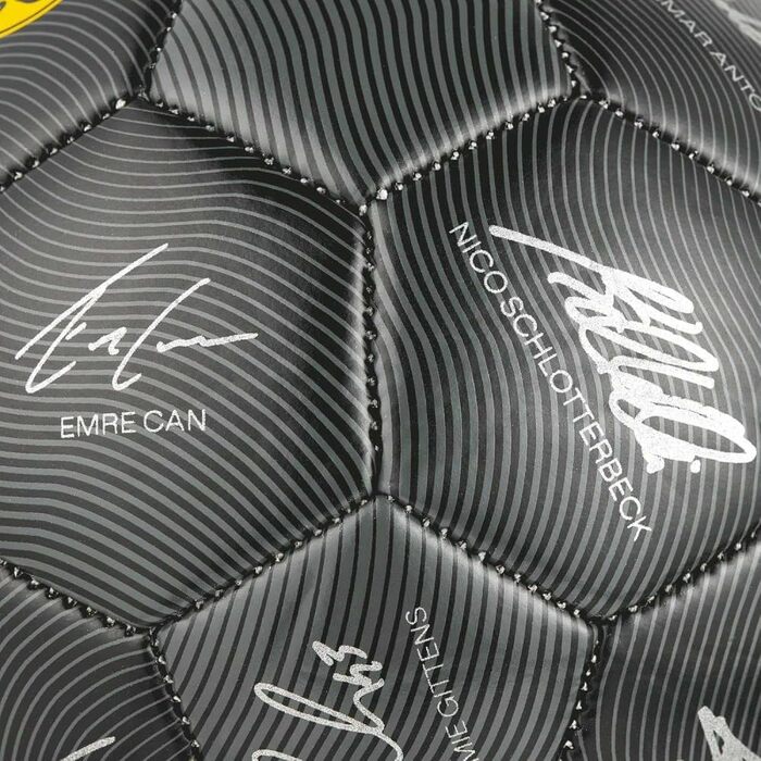 Футбольний м'яч Borussia Dortmund BVB 2024/25 з автографами, жовтий, розмір 5