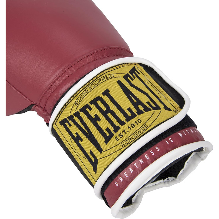 Рукавички Everlast 1910 Classic Unisex 14oz Rot