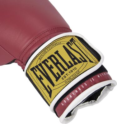 Рукавички Everlast 1910 Classic Unisex 14oz Rot