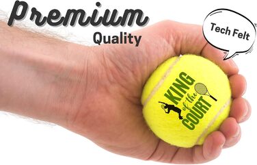 Набір CybGene Tennis Gifts 3 унікальні м'ячі для гравців і собак