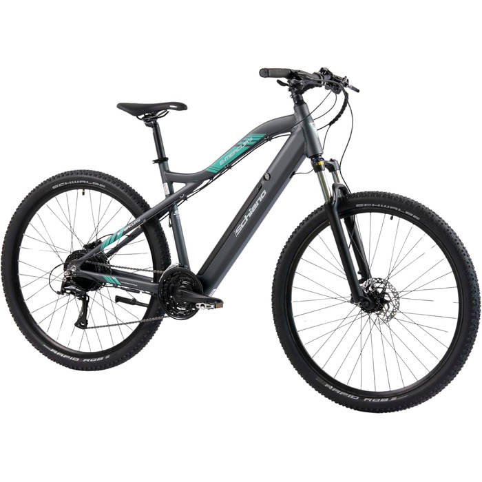 E-Bike Pedelec MTB 29