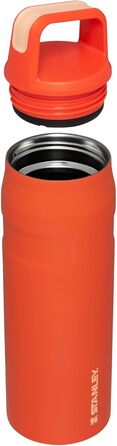 Термобутилка Stanley IceFlow 680 мл з кришкою та ручкою, ізольована, нержавіюча сталь, BPA-free, для спорту і подорожей, Tigerlily