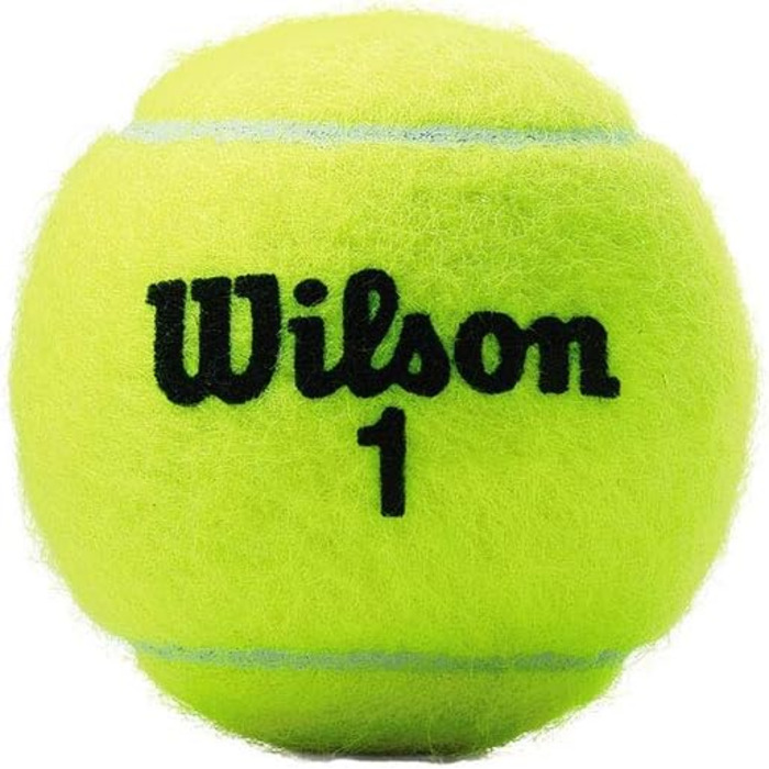 Тенісний м'яч Wilson WRT1000J US Open Extra Duty, підвищений тиск, 2 шт., для змагань
